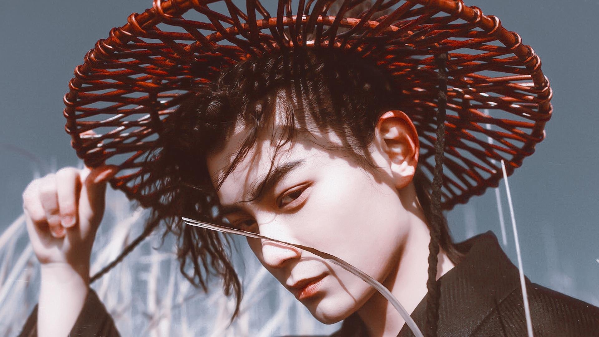 中国足球前锋类型结构性调整报告,中国足球队前锋有哪些