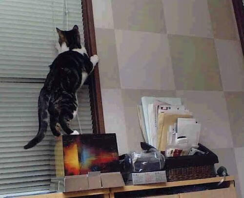 体育场馆安全管理标准，体育场馆管理规定