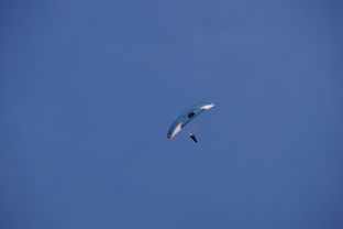 华体会app登入-全国青少年水上滑翔锦标赛天津盛大开幕，水上滑翔机价格