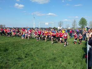 华体会手机在线-体育新闻中心参与制定青少年体育内容发布规范，青少年体育刊物