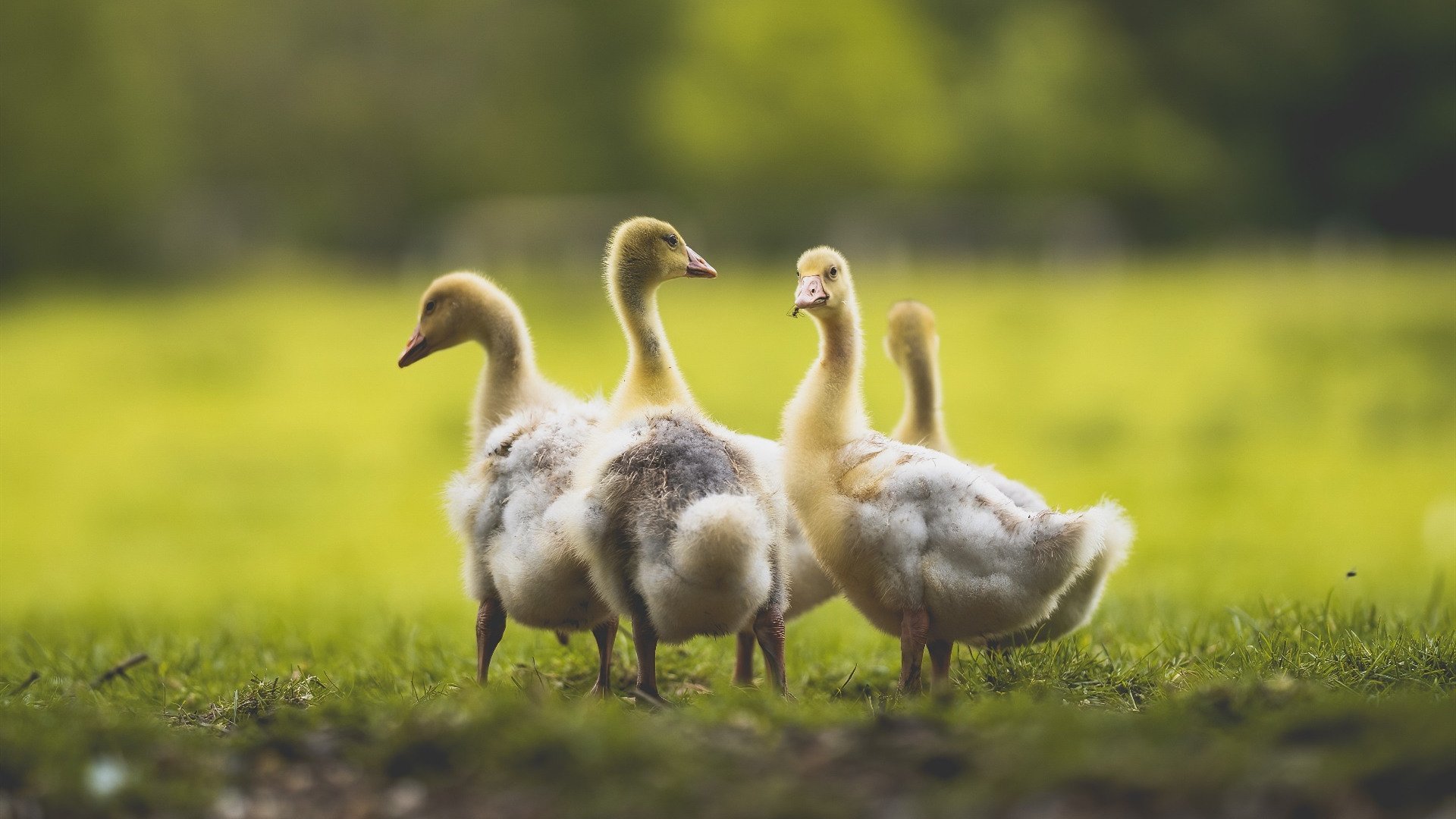 关键比赛冷静应对,心态成熟显著,比赛中沉着冷静