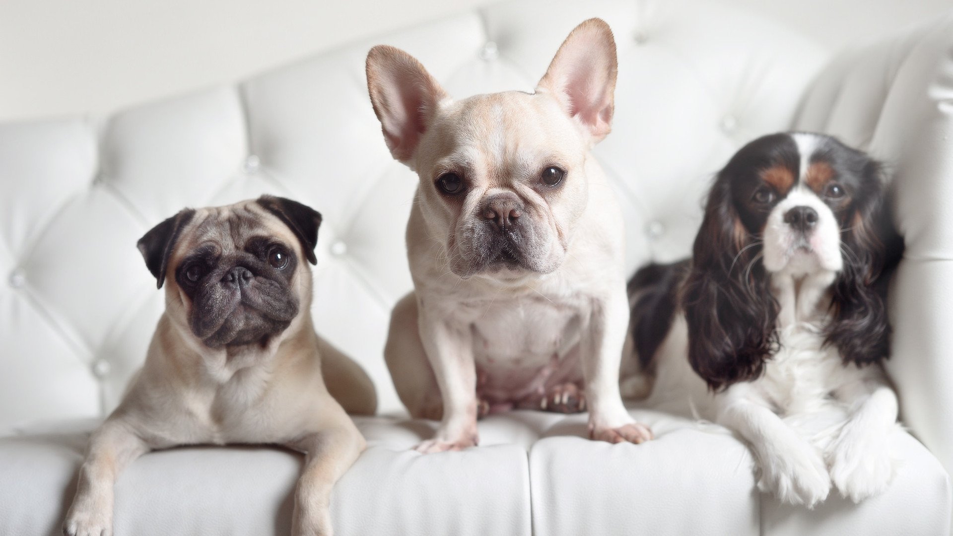 国家队队员流动率过高影响配合默契