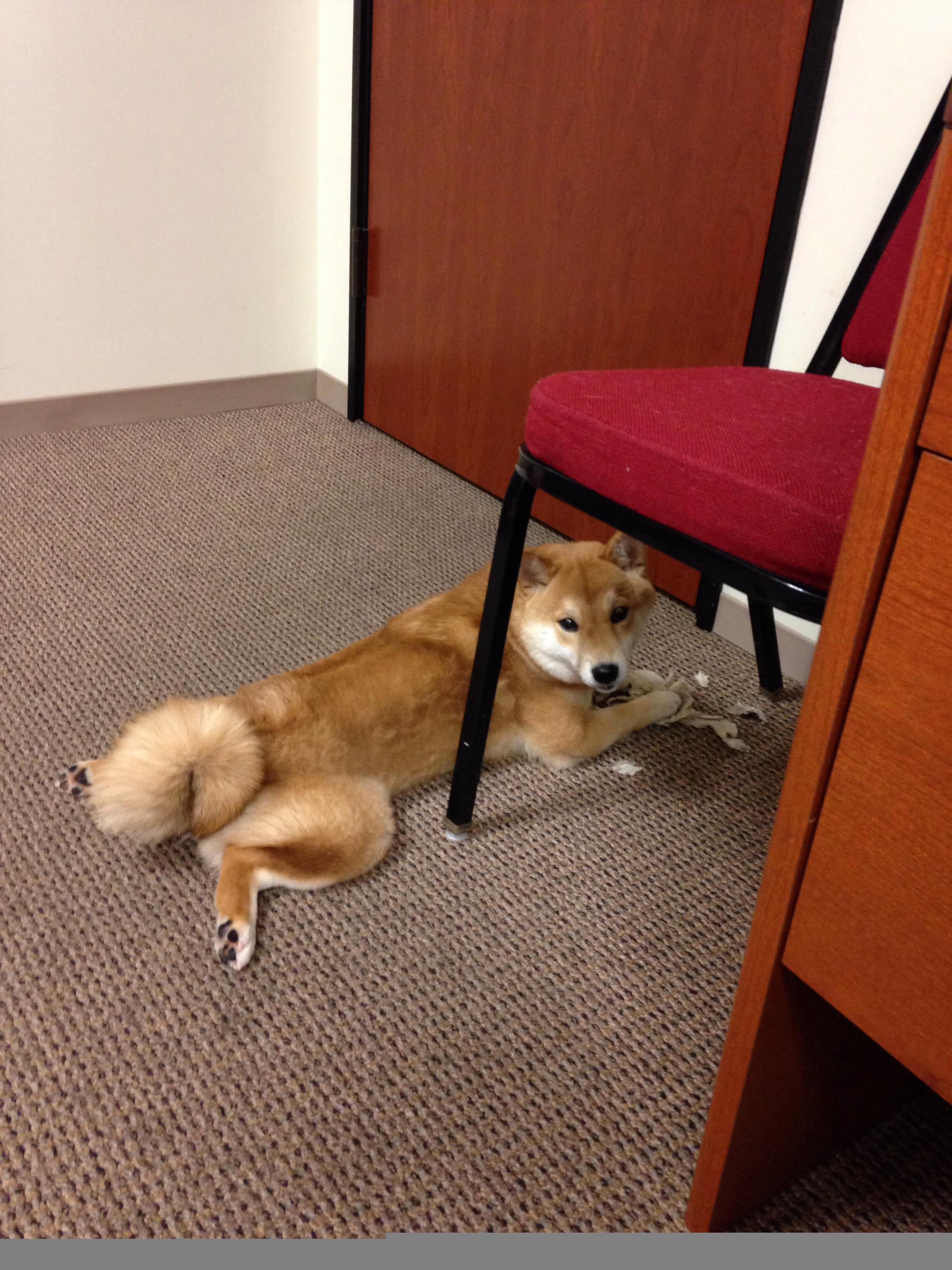 国际热身赛U23国足逆袭 球迷情绪振奋,国足热身赛30万