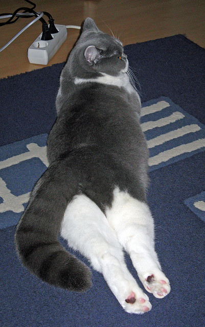 华体会平台-基层教练执教路径断档明显，基层教练执教路径断档明显怎么办