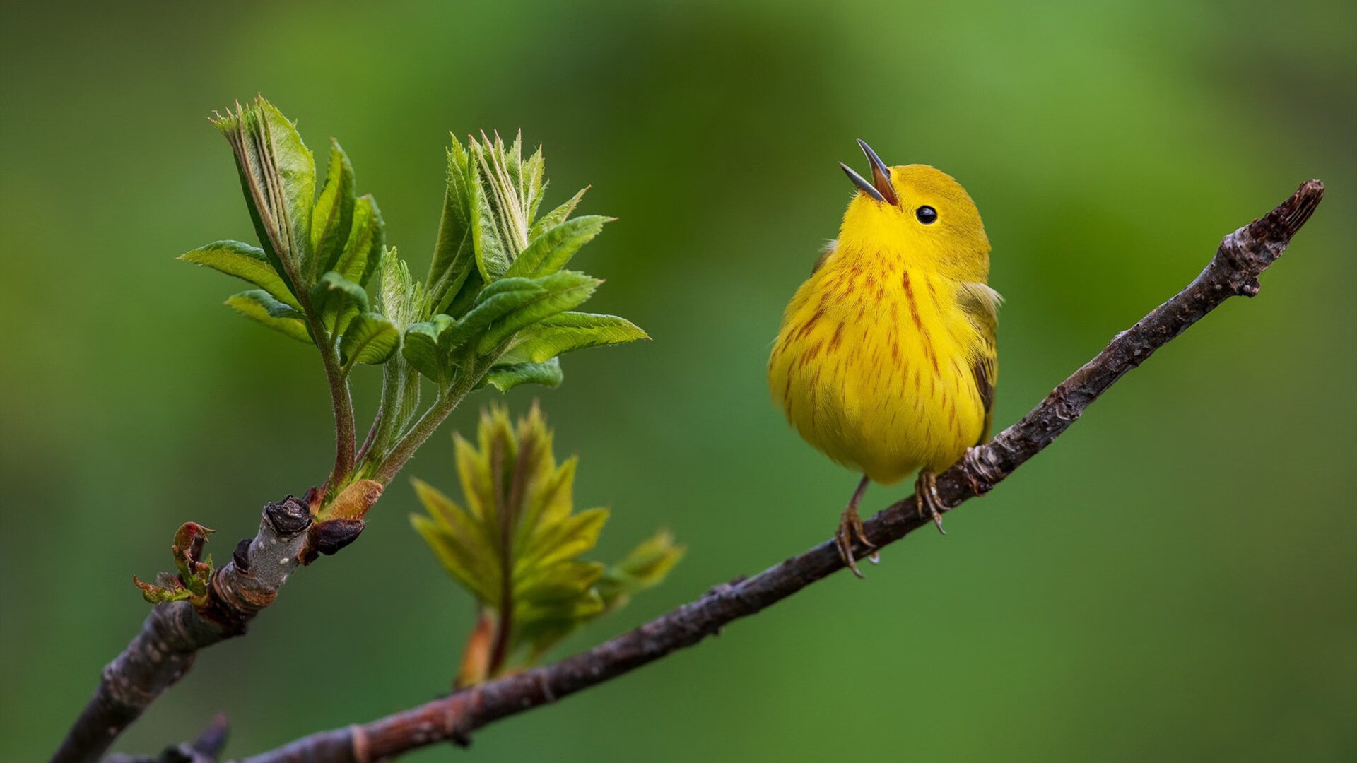 奥运村生活保障服务全面升级，奥运村条件