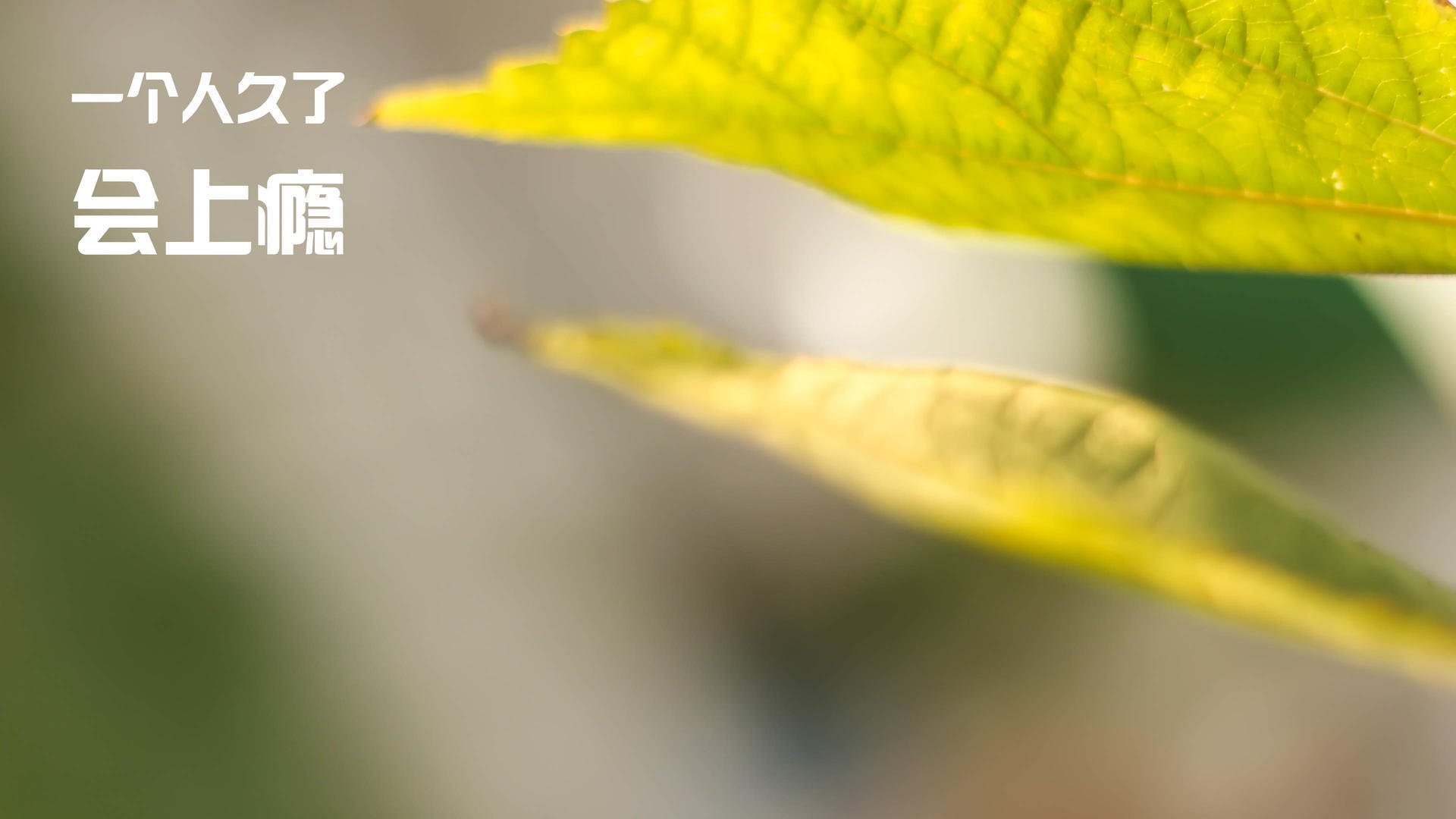 球员在快节奏比赛中的情绪控制关键，如何管理球员在比赛中的情绪