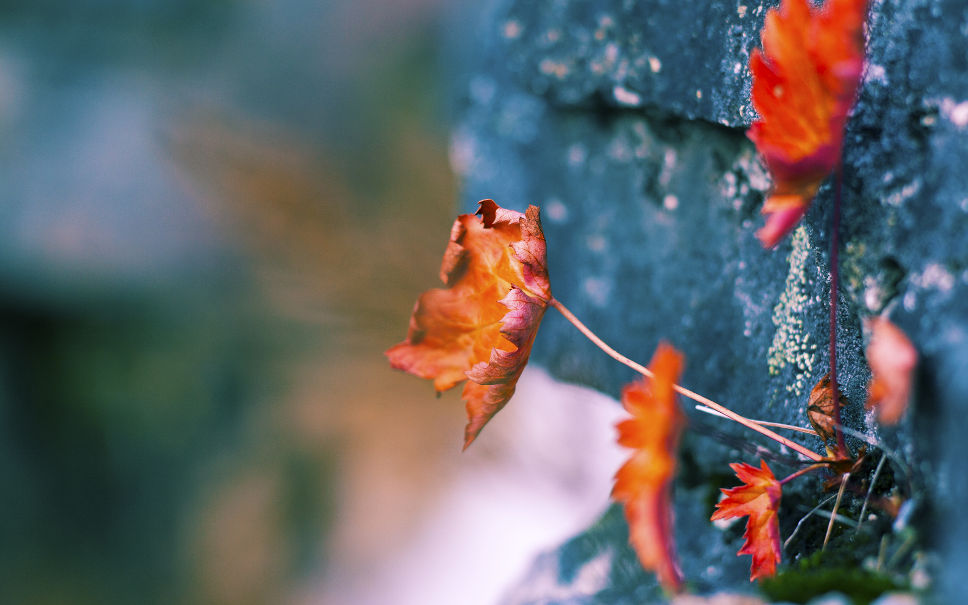 C罗转会新东家引发热议，c罗转会信息