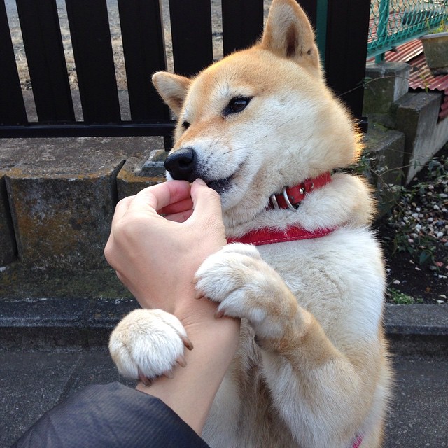 华体会网址-中超联赛吸引国际明星，市场影响力扩大