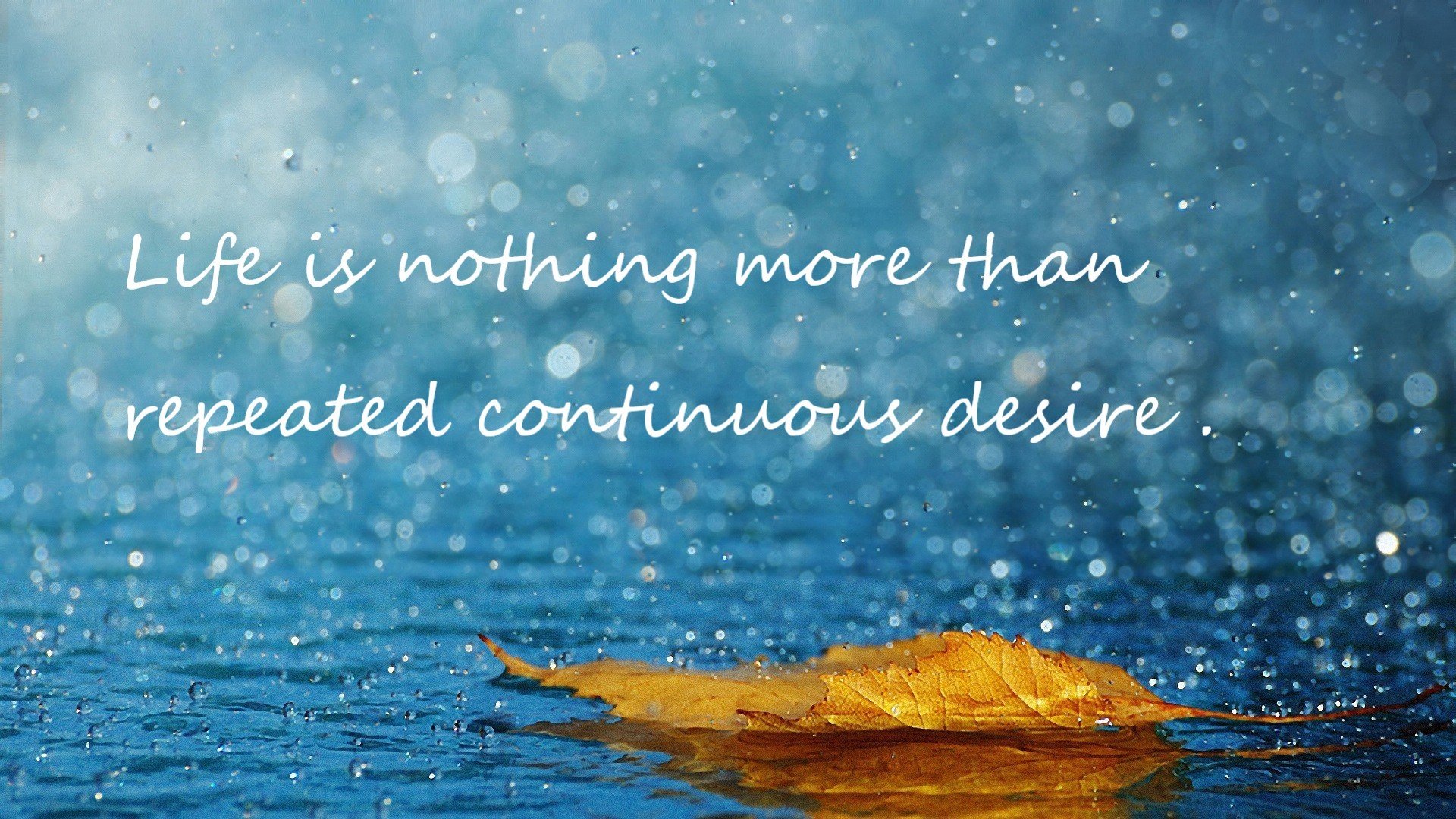 库里参加脱口秀现场气氛爆棚，库里节目