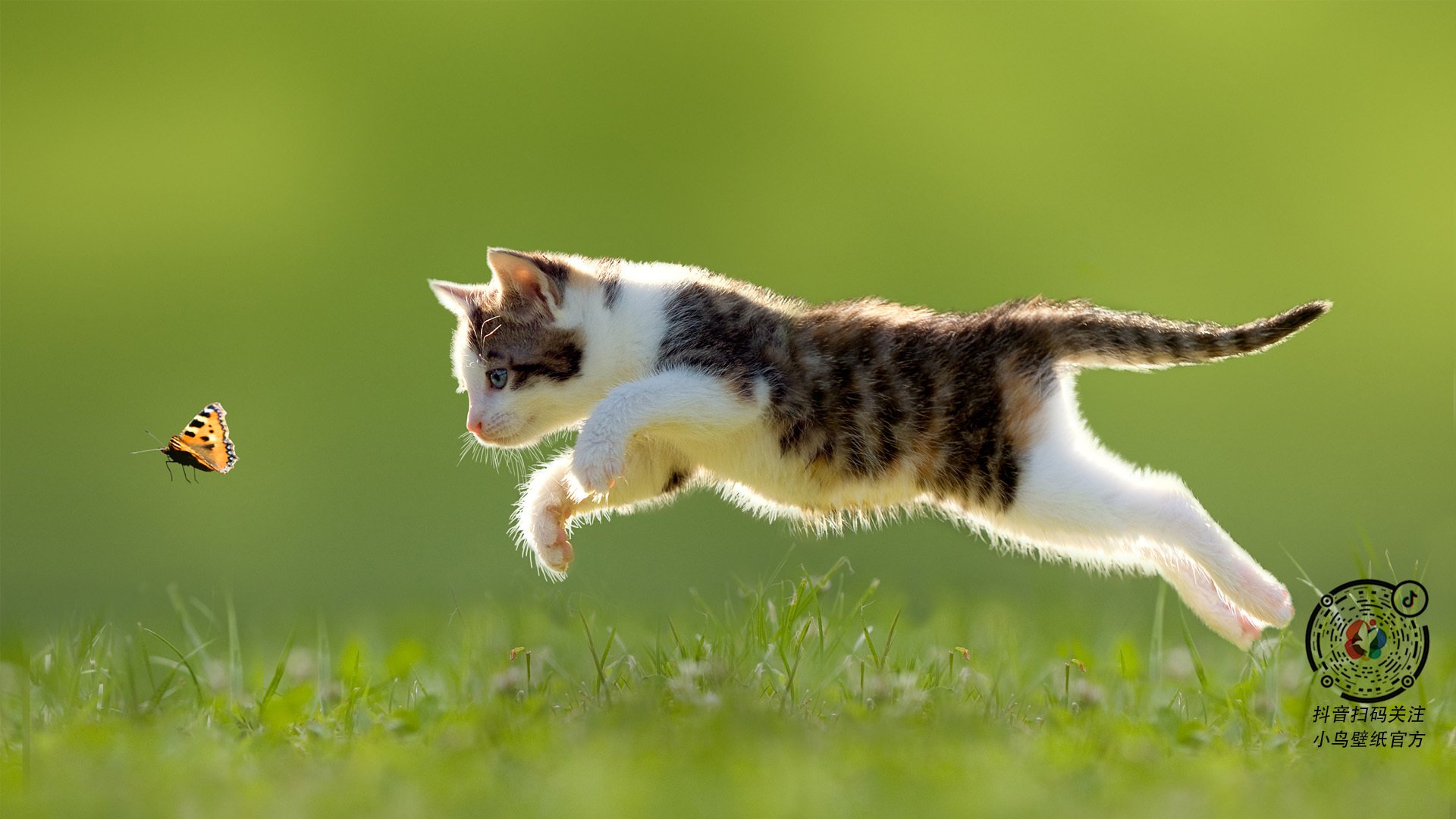 华体会在线下载-德甲攻守博弈：精彩不断，高潮连连！，德甲打法