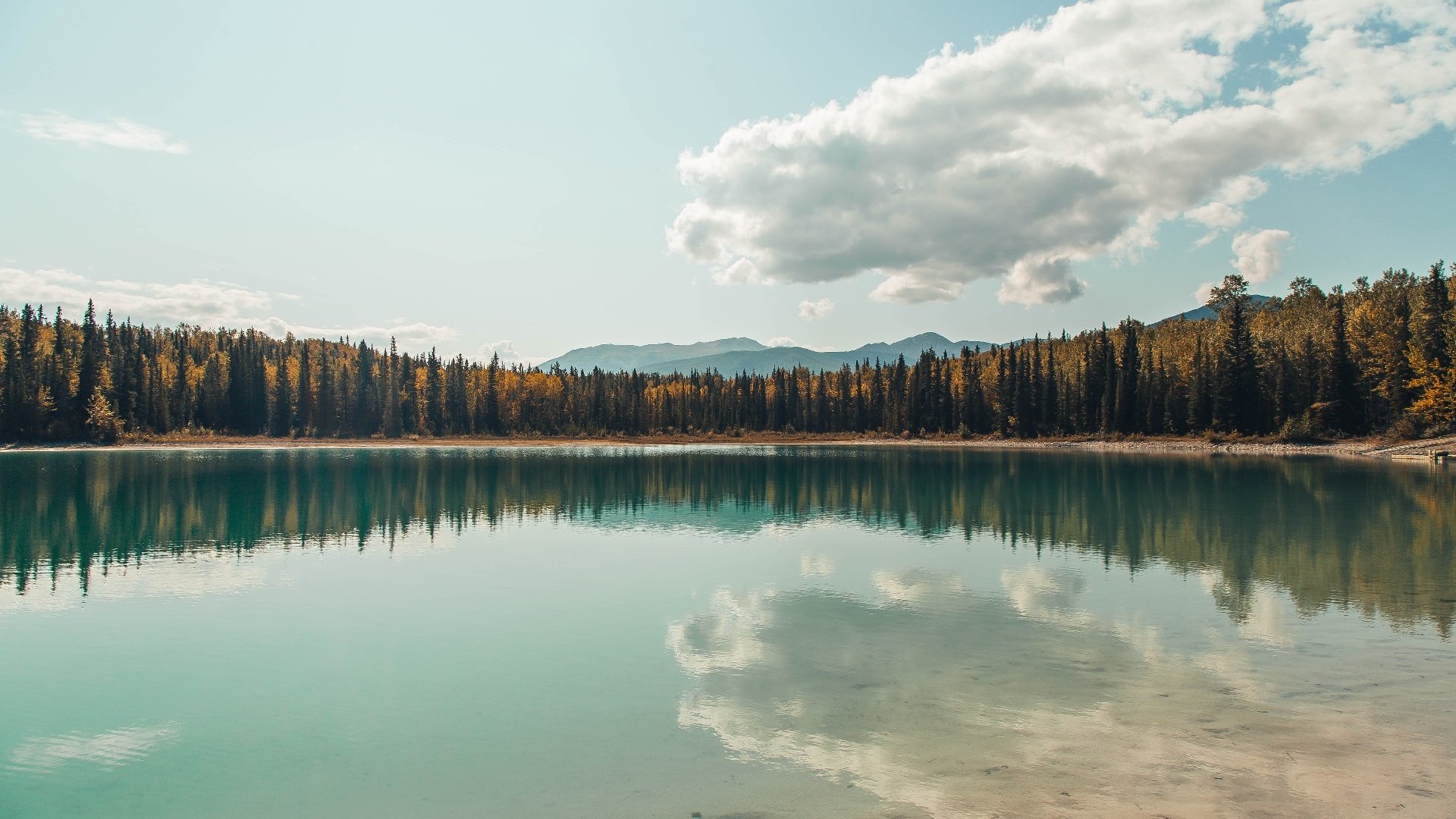 欧洲杯绝妙瞬间：战术配合与精彩射门层出不穷，欧洲杯 respect