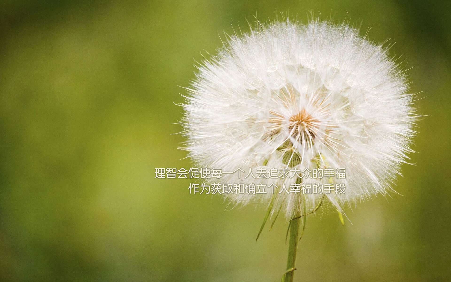 华体会在线下载-科里·简：全黑队新一代边锋，凭借速度和技术让防线束手无策，科里乐队