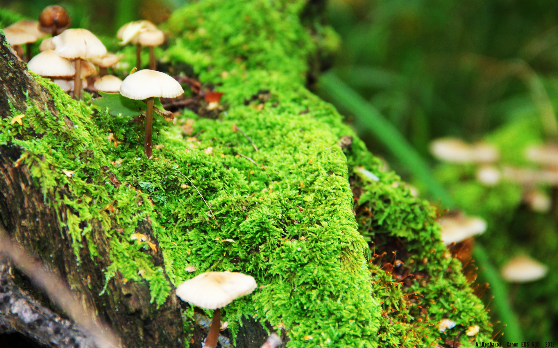 老鹰替补席贡献大幅提升成为关键支撑，老鹰队的比赛