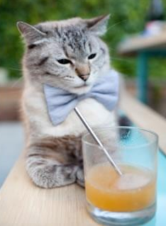 华体会登陆-西甲比赛的激情盛宴：每分钟都令人心跳加速，西甲经典比赛